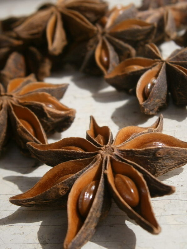 Breseghello Anice Stellato frutti interi 500gr