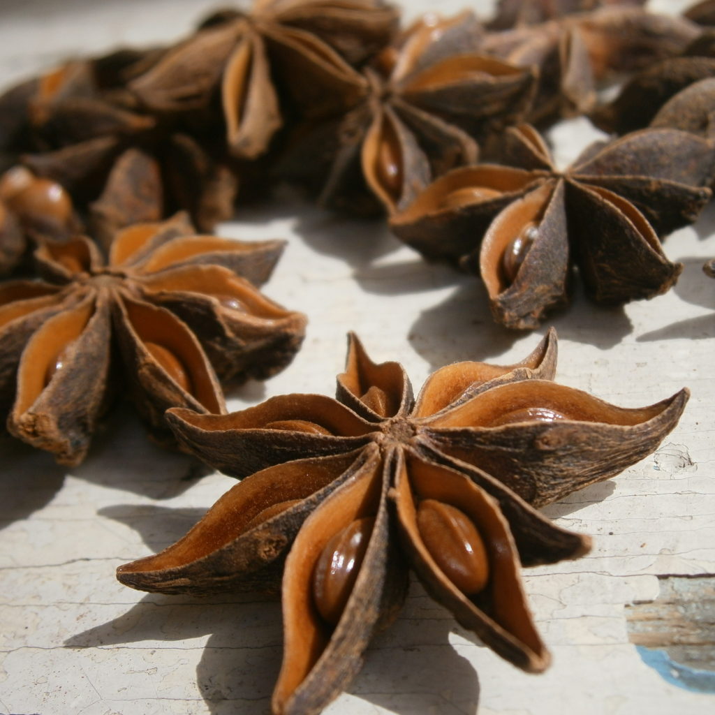 Breseghello Anice Stellato frutti interi 500gr