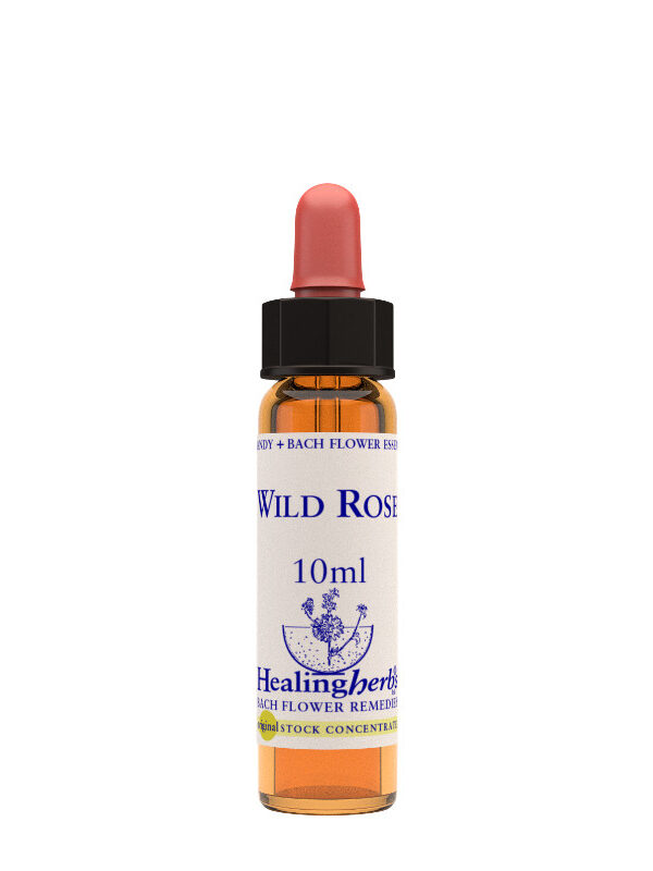Healing Herbs Wild Rose