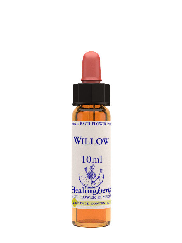 Healing Herbs Willow