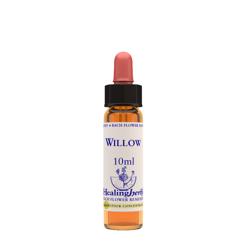 Healing Herbs Willow