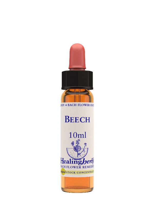 Healing Herbs Beech
