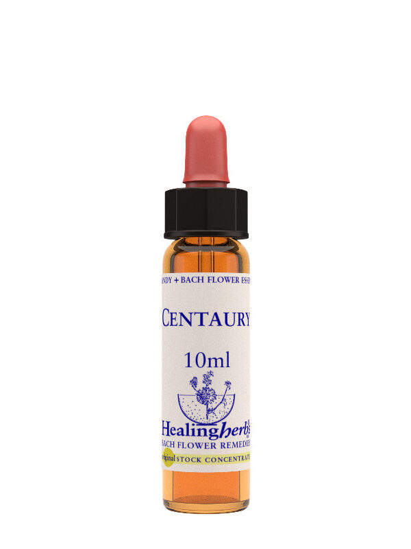 Healing Herbs Centaury