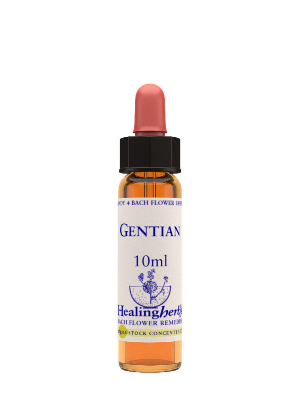 Healing Herbs Gentian
