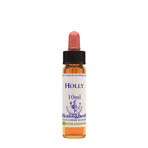 Healing Herbs Holly