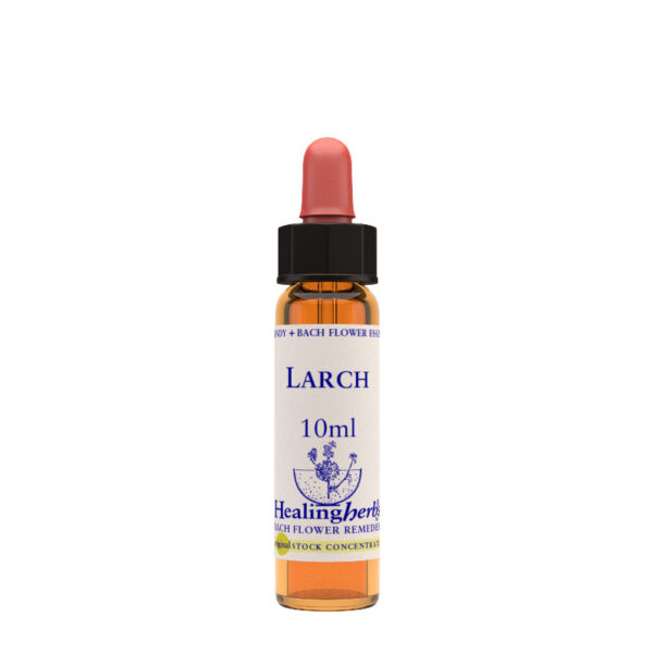 Healing Herbs Larch