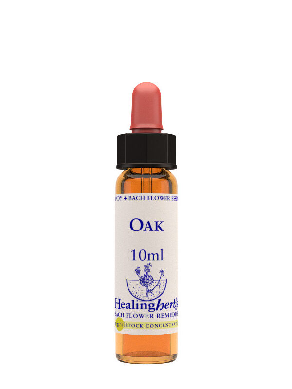 Healing Herbs Oak