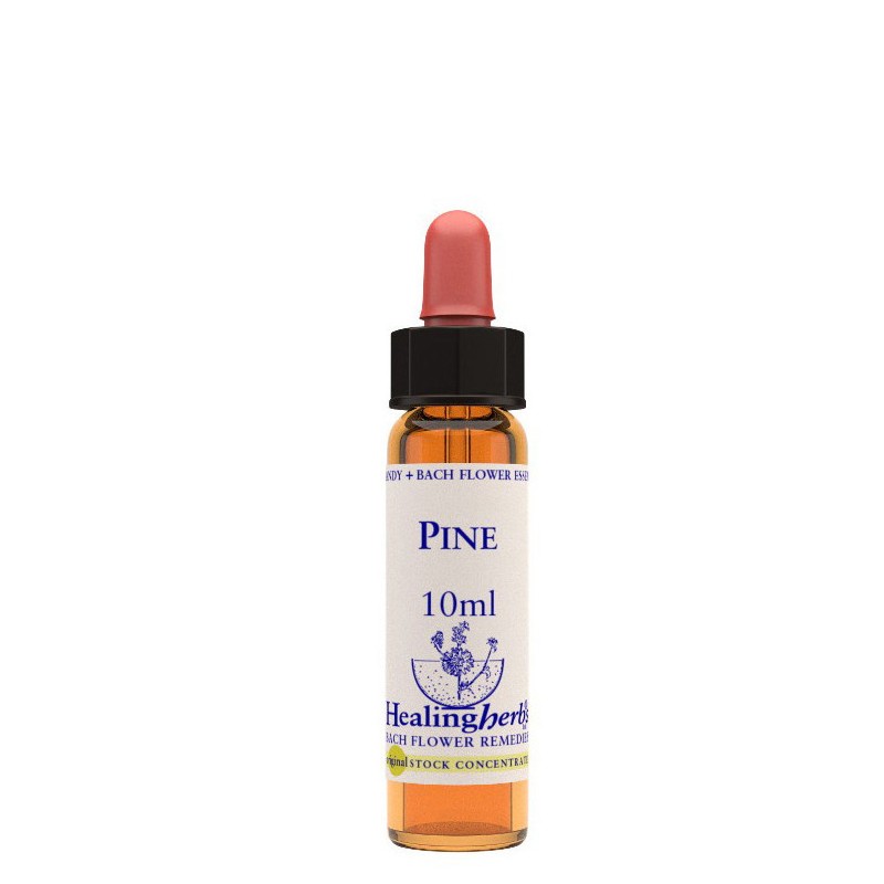 Healing Herbs Pine