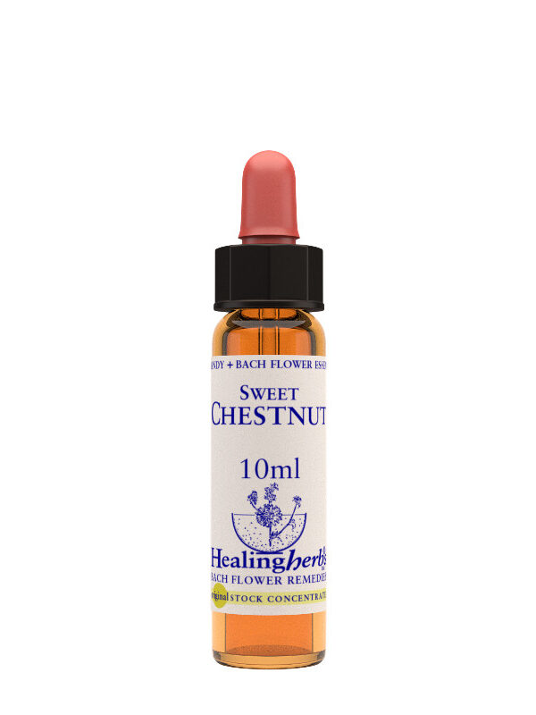 Healing Herbs Sweet Chestnut