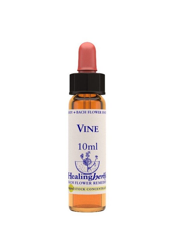 Healing Herbs Vine