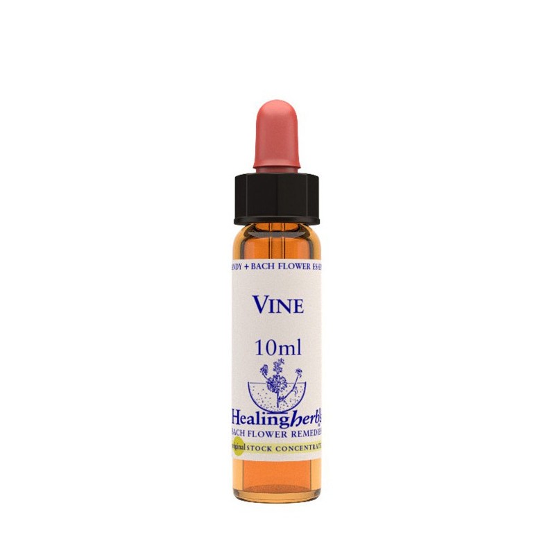 Healing Herbs Vine