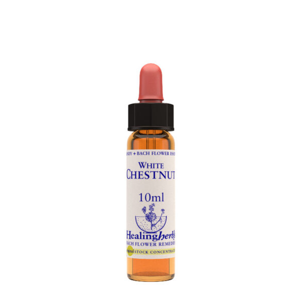 Healing Herbs White Chestnut